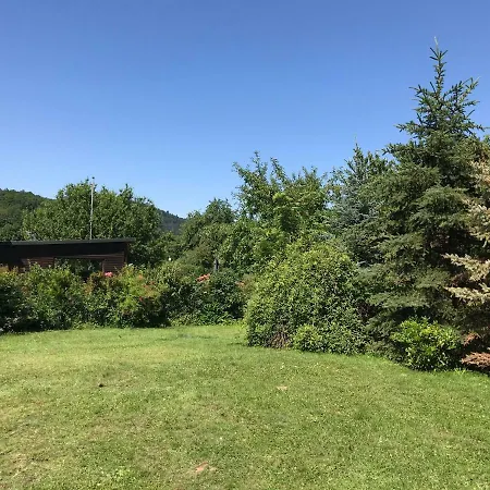 Lili´s Auf Der Halbinsel Scheid * Waldeck (Hessen)