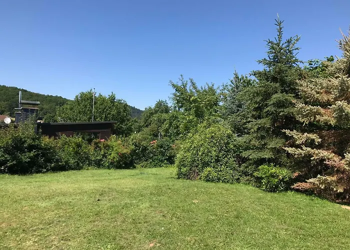 Lili's Auf Der Halbinsel Scheid * Waldeck (Hessen)